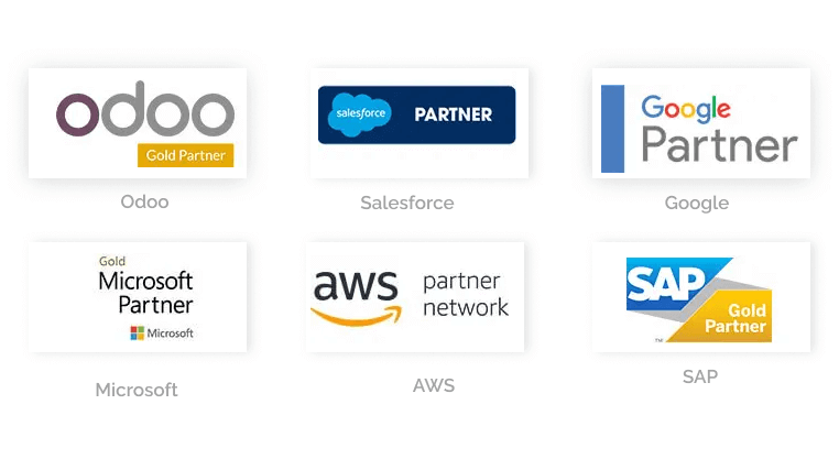 Brainvire Partnerships