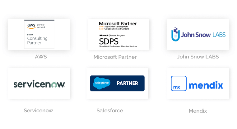 Trigent Software Inc Partnerships